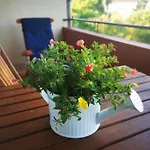 Apartman Mosel 3-zimmer Garten Balkon Free Parking Netflix Premium Premium