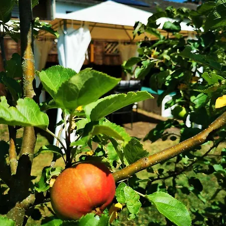 Mosel 3-zimmer Garten Balkon Free Parking Netflix Premium Premium アパート