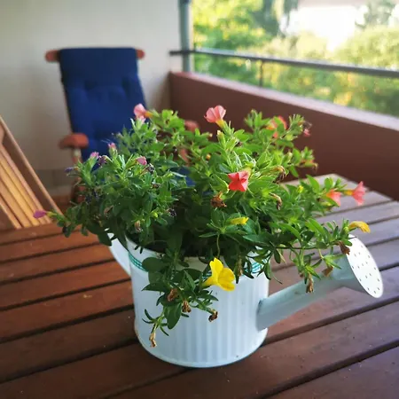 Lejlighed Mosel 3-zimmer Garten Balkon Free Parking Netflix Premium Premium