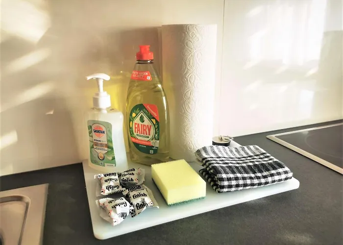 Mosel 3-zimmer Garten Balkon Free Parking Netflix Premium Premium アパート コブレンツ