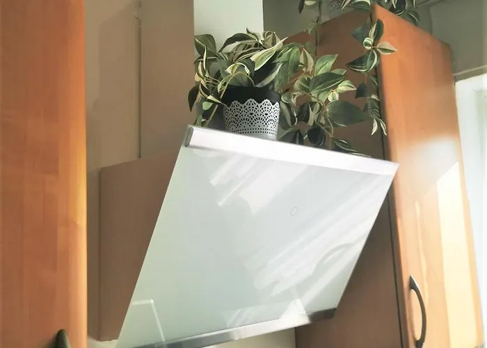 Mosel 3-zimmer Garten Balkon Free Parking Netflix Premium Premium コブレンツ